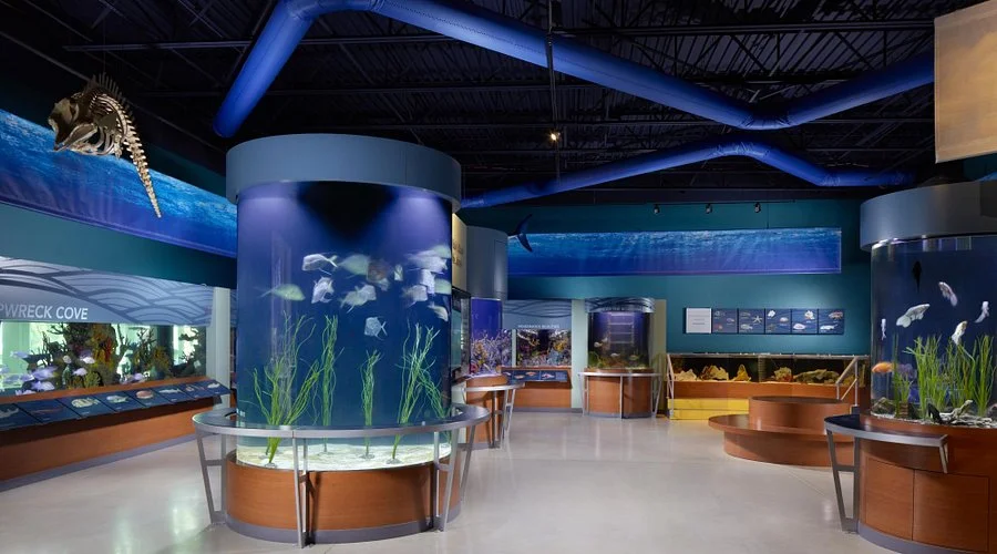 Cox Science Center and Aquarium